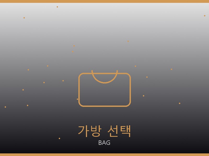 알라이아 레플리카 사이트 가방 선택 가이드
