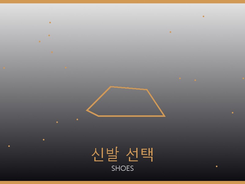 알라이아 레플리카 사이트 신발 선택 가이드